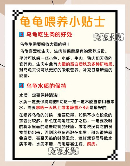 想养巴西龟？新手必看喂养指南及食谱！