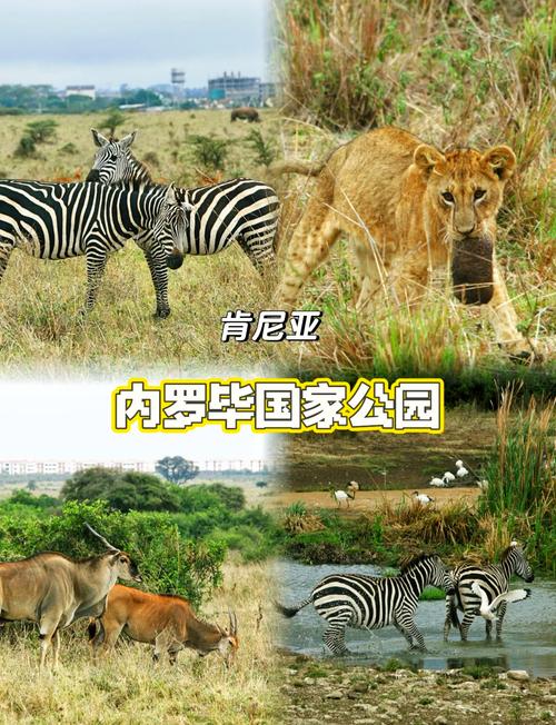 肯尼亚内罗毕现在几点?实时肯尼亚时间对照