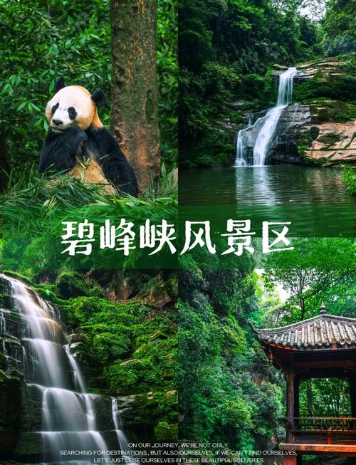 碧峰峡旅游攻略：玩转熊猫、峡谷，最省钱的玩法