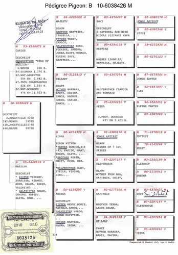 齐达内是阿拉伯人吗？探寻其家族血统和文化背景