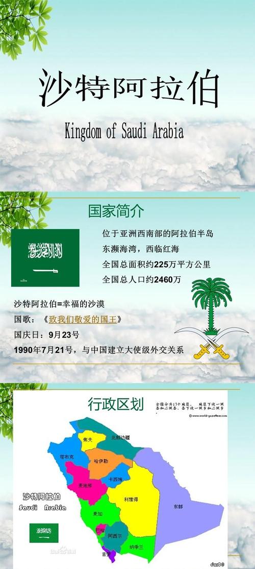 沙特阿拉伯安全吗？针对中国游客的安全建议和出行指南。