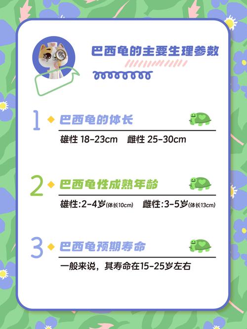 想养巴西龟？新手必看喂养指南及食谱！