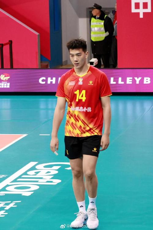 男排球员的身高和弹跳力谁最强？“大鸟”称号的由来！