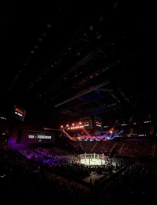 UFC比赛在哪里看直播？手机电脑都能看，高清流畅，免费或付费任选！