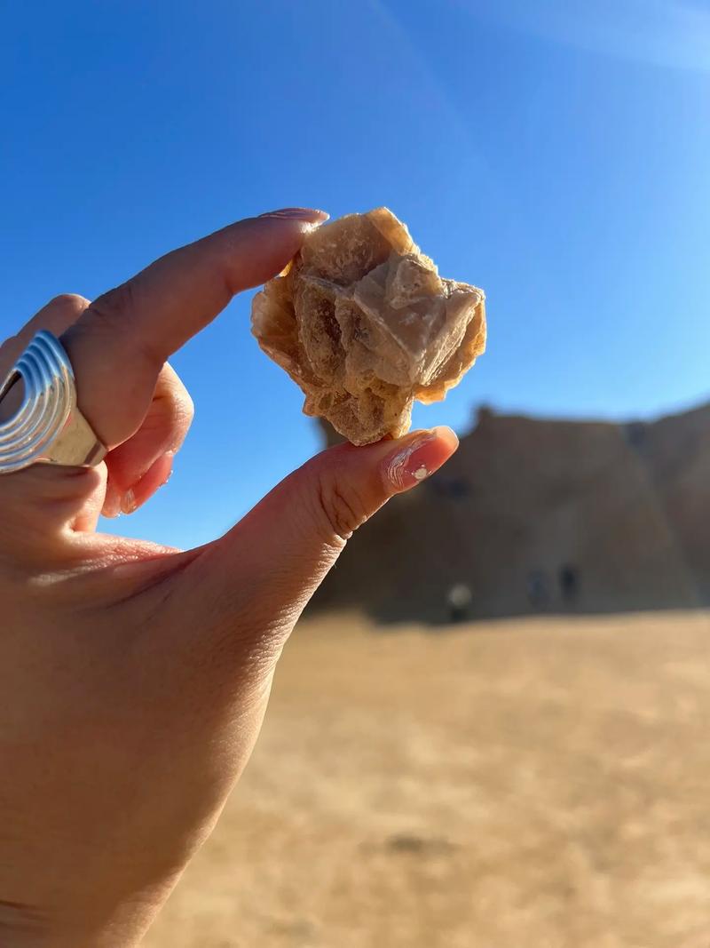 突尼斯真的危险吗？揭秘真实的突尼斯社会现状