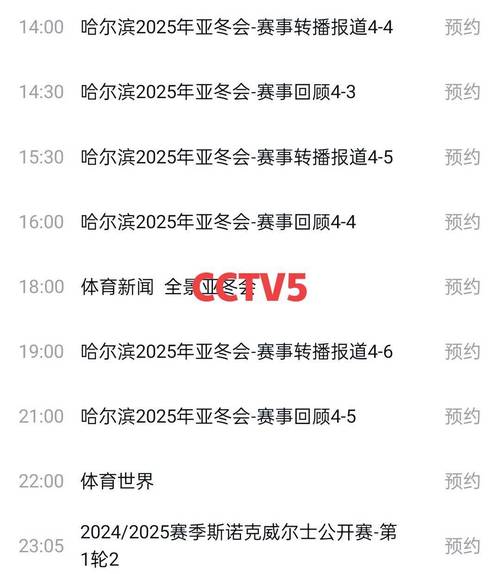 告别央视五大联赛直播,球迷们如何选择观看平台?