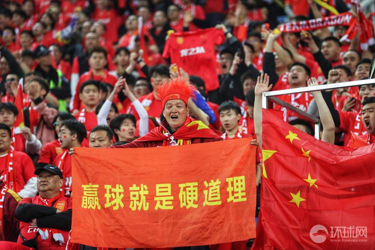 中国将申办世界杯？球迷期待与现实挑战