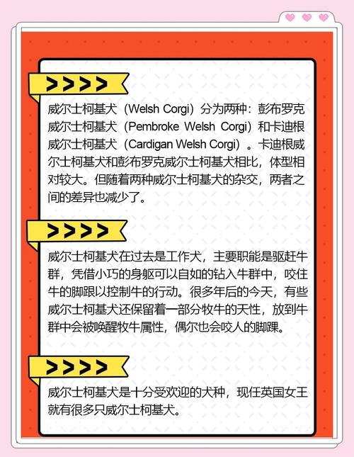 威尔士柯基犬好养吗？优缺点分析及饲养技巧分享