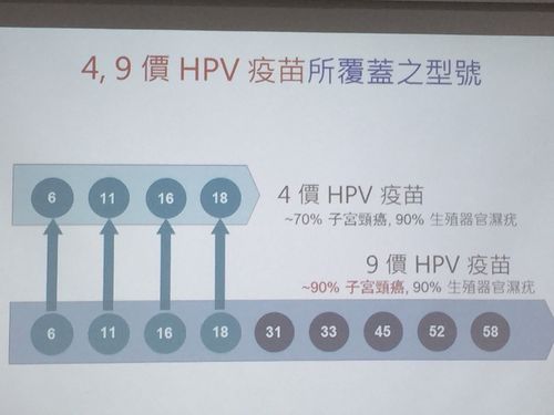想知道女足欧洲杯多久举行一次吗？这里有你需要的答案