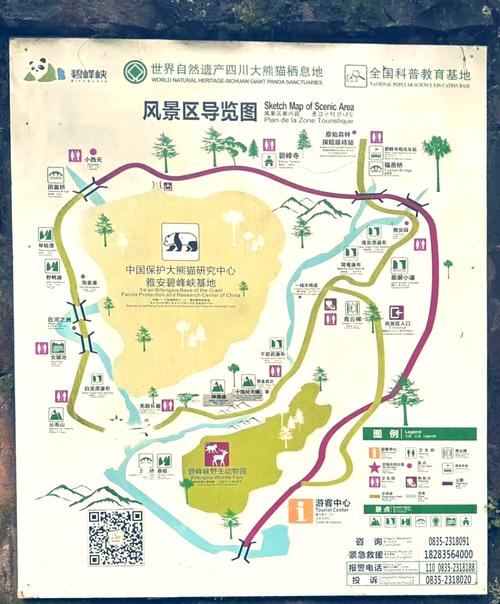 碧峰峡旅游攻略：玩转熊猫、峡谷，最省钱的玩法