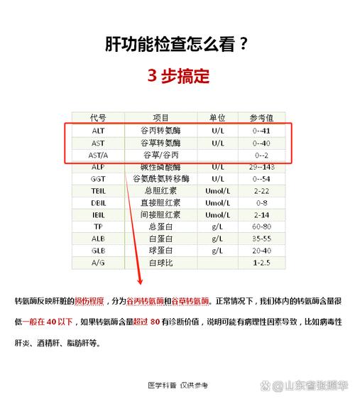 想做肝功能检查，该挂哪个科室？医生建议去哪个科？