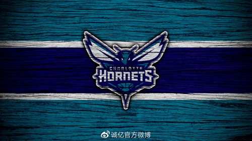 原来黄蜂队又回来了？球队名称变更的详细解读