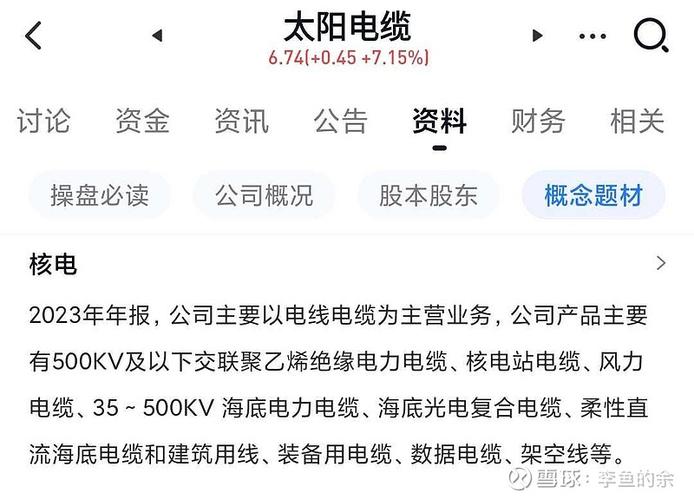 中超电缆倒闭始末：从上市公司到破产清算的全过程