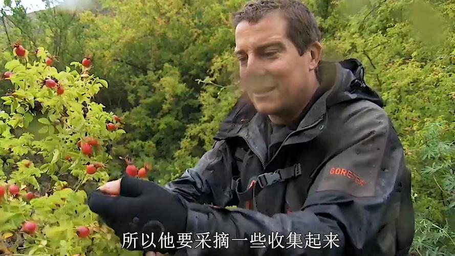 贝爷为何销声匿迹？暴风雨中的惊险求生经历