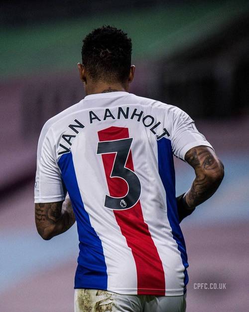 范安霍尔特的足球水平有多高?深度解析及评价