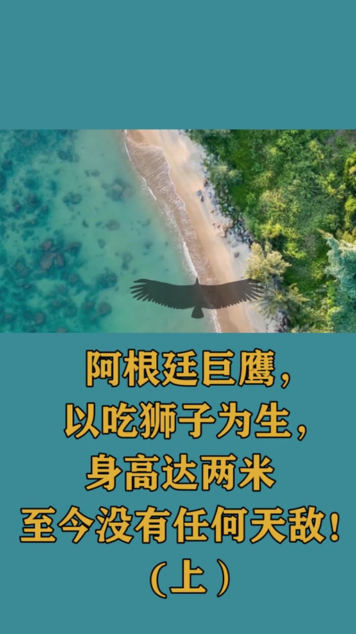 如何快速驯服阿根廷巨鹰？一看就会的实用方法