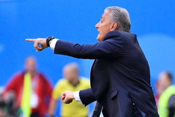 热议:史蒂文斯教练去哪了?他现在的身份和工作是什么?