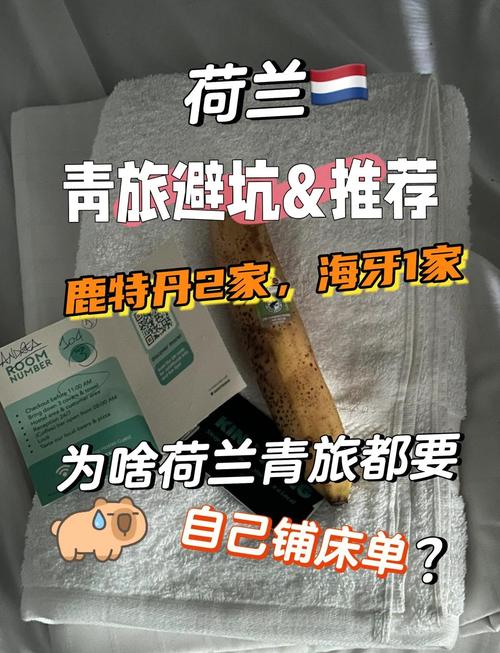 旅游度假选荷兰还是德国？优缺点对比帮你决定！