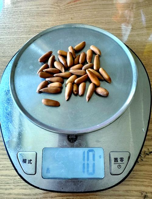 巴西松子价格一览表：一斤多少钱？哪里买最划算？