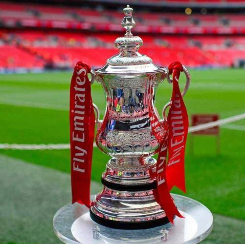 想知道英格兰足总杯多少轮？这里有答案！