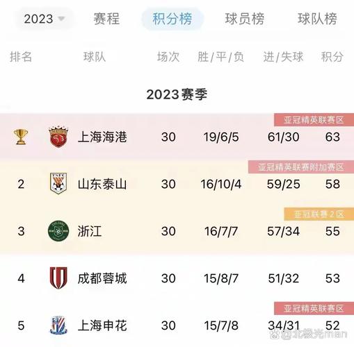 亚洲足球联赛都有哪些？深度解析亚洲各大联赛实力