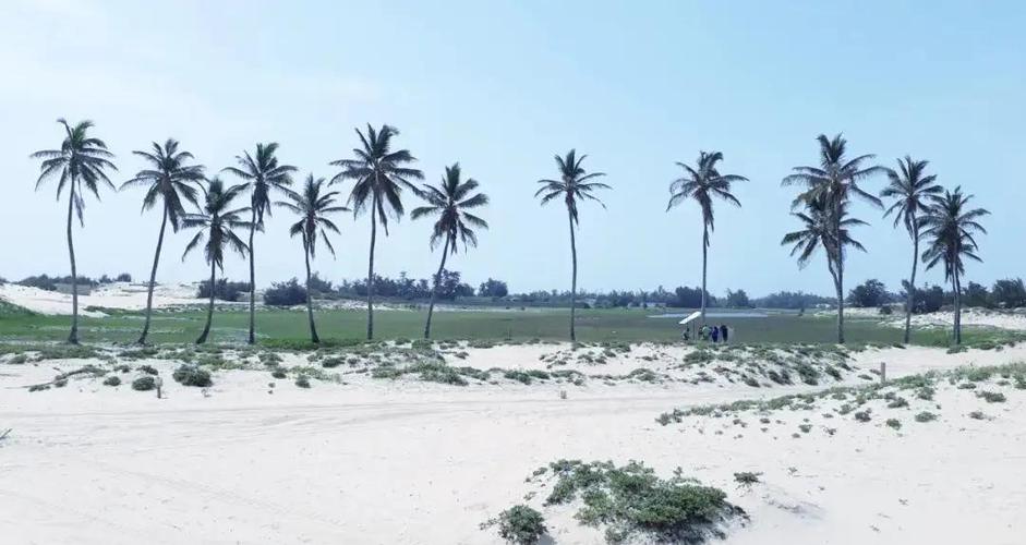 出行塞内加尔:安全、卫生、文化,一次性告诉你