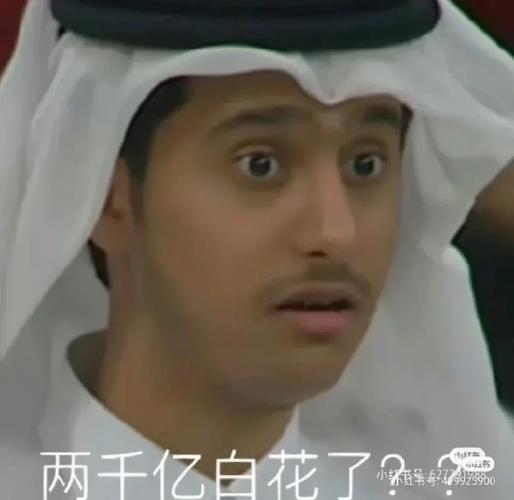 卡塔尔为什么这么有钱？探秘其惊人财富来源！