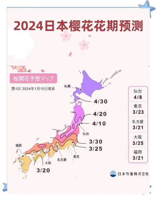 大阪樱花什么时候开？2024年大阪樱花开花时间预测及赏花攻略