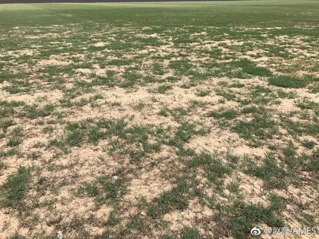 中超联赛延期：糟糕的草坪质量成导火索？