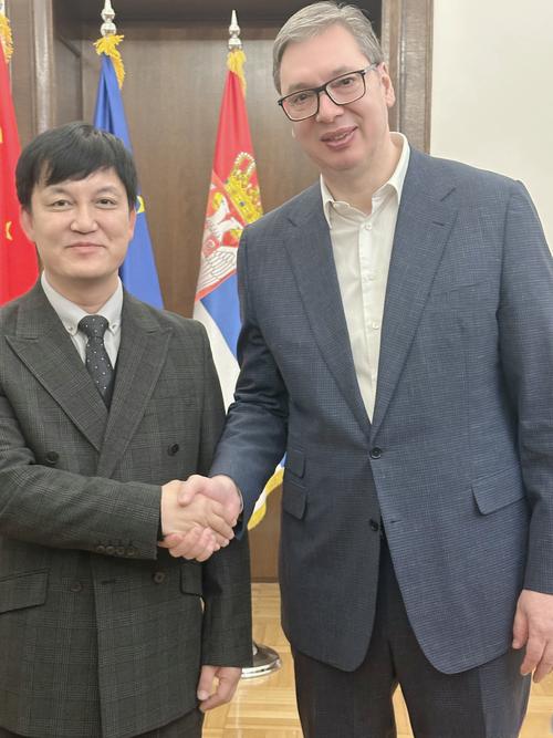 武契奇总统是哪个国家的？深度解读他的领导风格和国家地位