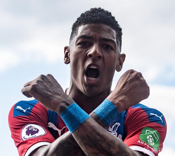 范安霍尔特的足球水平有多高?深度解析及评价