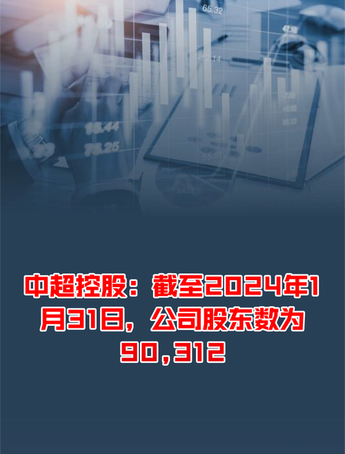深入了解中超控股：它究竟是做什么的？