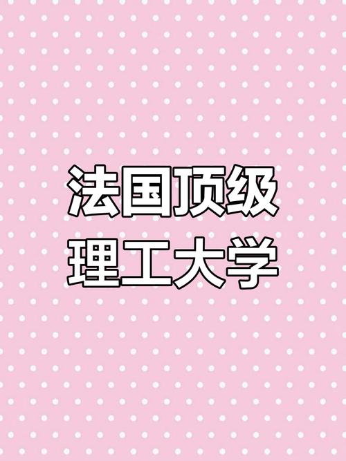 法国里尔大学的真实评价：学生体验与未来发展前景