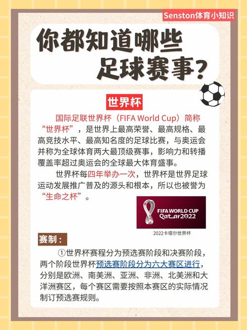 足球迷必看：欧冠欧洲杯，你更关注哪个？