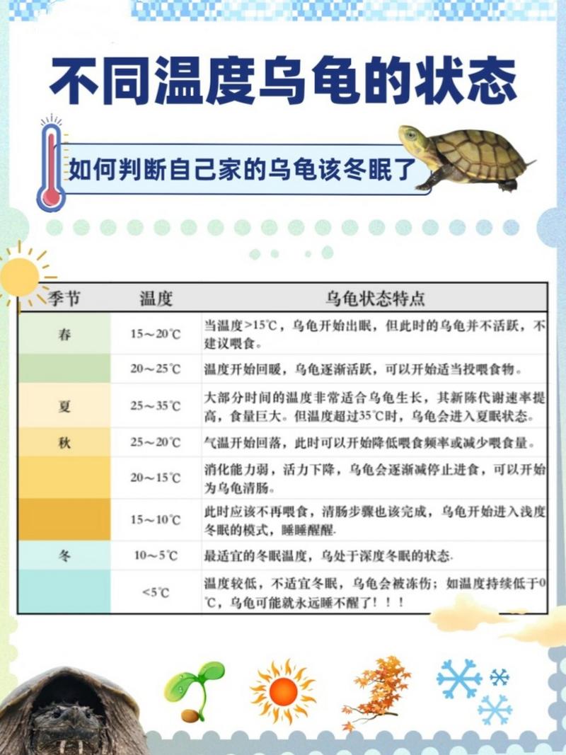 巴西龟什么时候开始冬眠?冬眠期间需要注意什么?