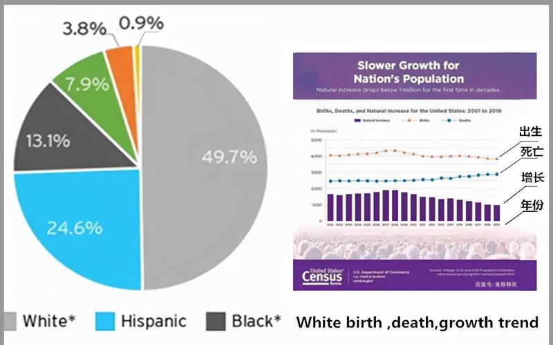 阿拉伯人是什么人种？详解阿拉伯人的种族血统