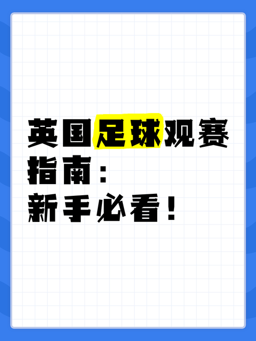 哪个网站买足球最好？新手必看平台推荐指南