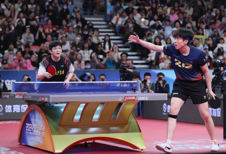 乒超联赛:中国乒乓球最高水平联赛深度解读