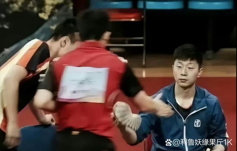 马龙樊振东谁赢了？最新比赛结果及精彩分析