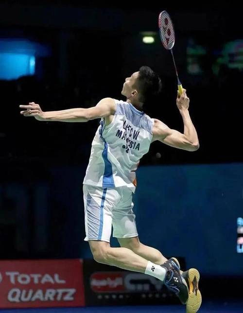 超级丹PK大马炮:林丹和李宗伟谁更厉害?