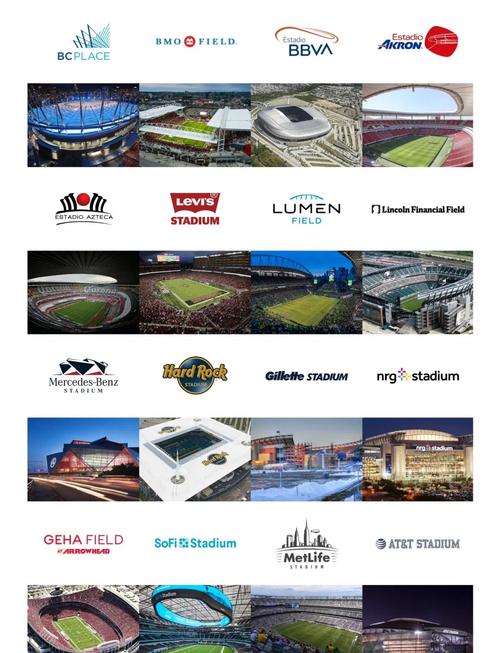 世界杯买球赛在哪买?实体店和线上渠道哪个更方便?