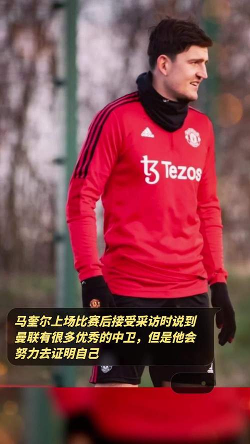 曼联队马奎尔水平高吗？看看他的数据和表现