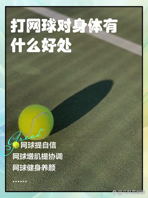 网球运动参与度低的原因是什么？高投入、高门槛是主要因素。