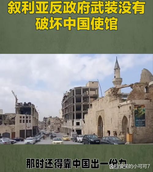 揭秘中叙关系:叙利亚真的对中国友好吗?