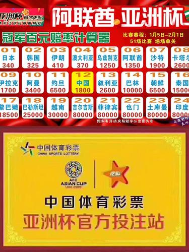 世界杯买球赛在哪买?实体店和线上渠道哪个更方便?