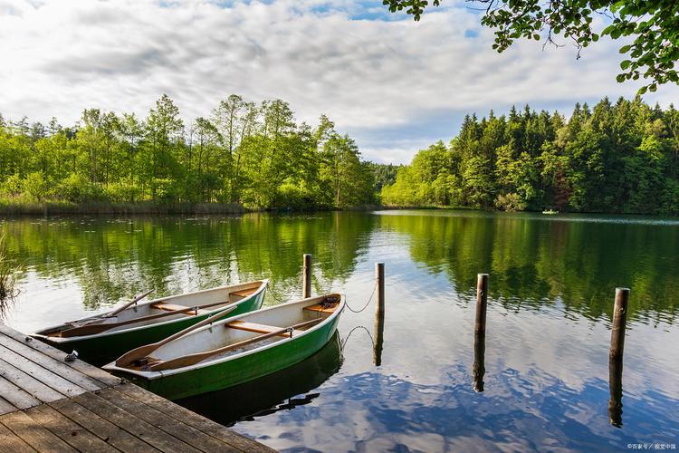 小龙堡突然退役,背后原因是什么?粉丝惋惜,真相待解