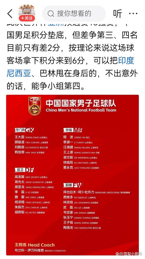 想了解世界足球职业联赛？这里有你想要的答案！