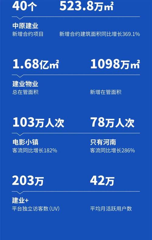 建业集团经营状况如何？面临哪些挑战和风险？