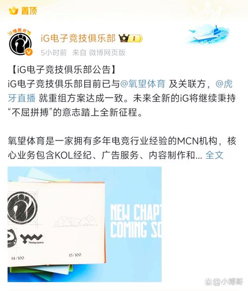 IG现在的老板是谁？他/她对战队有何影响？