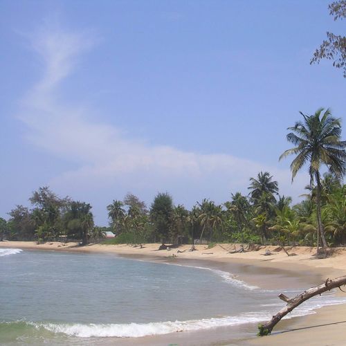 科特迪瓦旅游攻略:签证、交通、住宿及美食推荐